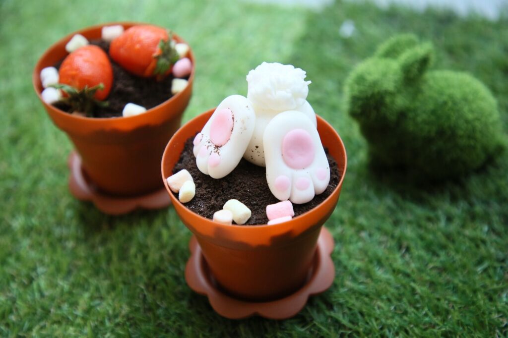 兔子和草莓花盆檸檬海綿蛋糕