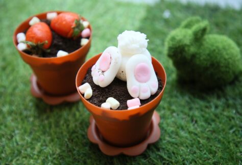 兔子和草莓花盆檸檬海綿蛋糕