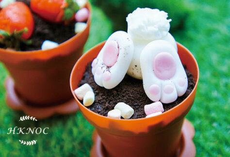 兔子朱古力花盆蛋糕